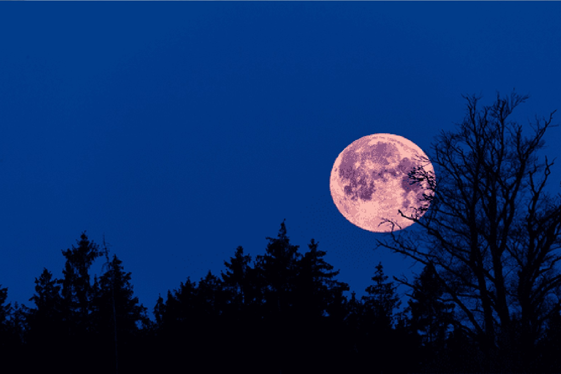 Llega la Luna Rosa 2024: cuándo será, desde dónde se podrá ver en ...