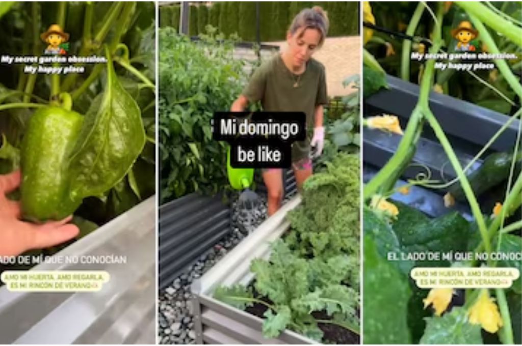 Mi Lugar Feliz Luisana Lopilato Mostró Junto A Su Hija La Huerta Que