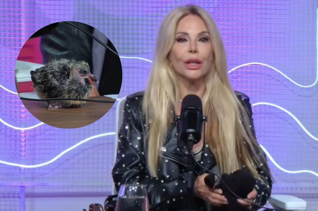 Graciela Alfano presentó a su mascota "Ori", una paloma que rescató: "Está regia. Alfanizada total