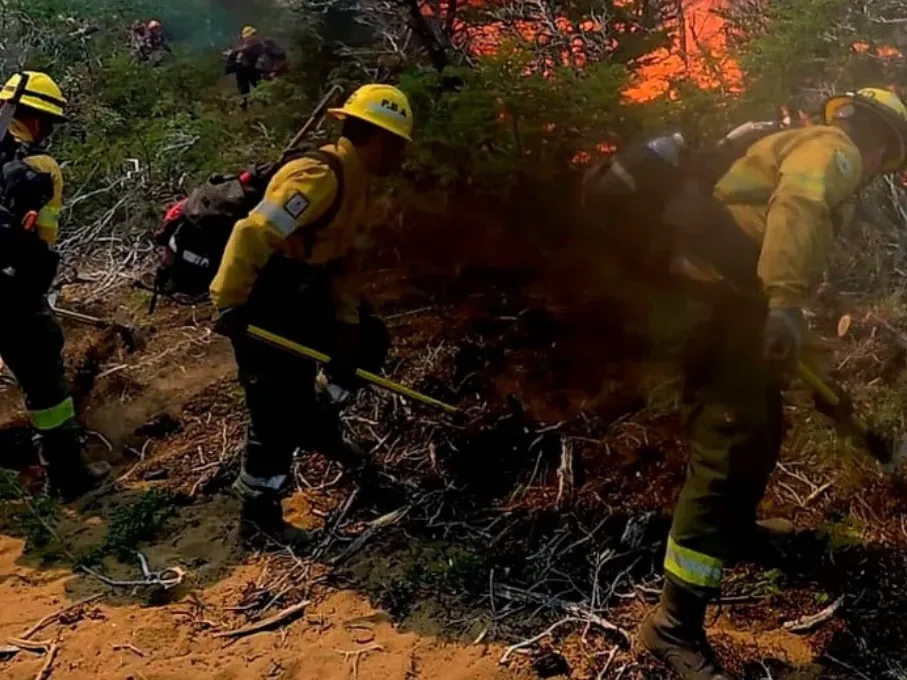 Preocupación en Cafayate: un voraz incendio forestal ya destruyó 200 hectáreas