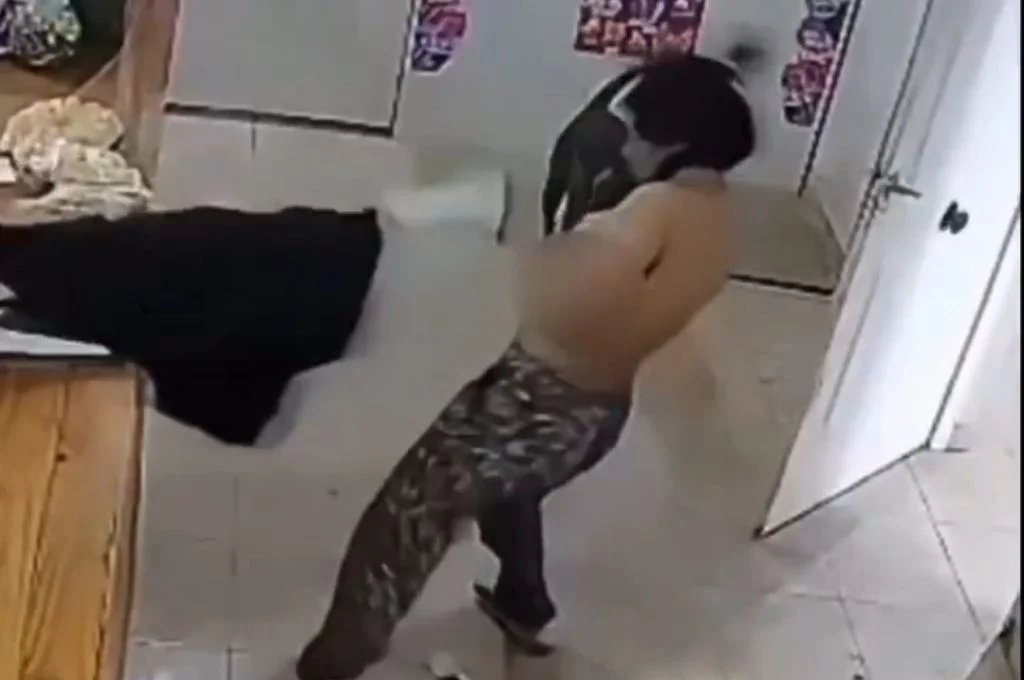 San Justo: forcejeó con una ladrona que intentó robar en su comercio y casi la deja desnuda