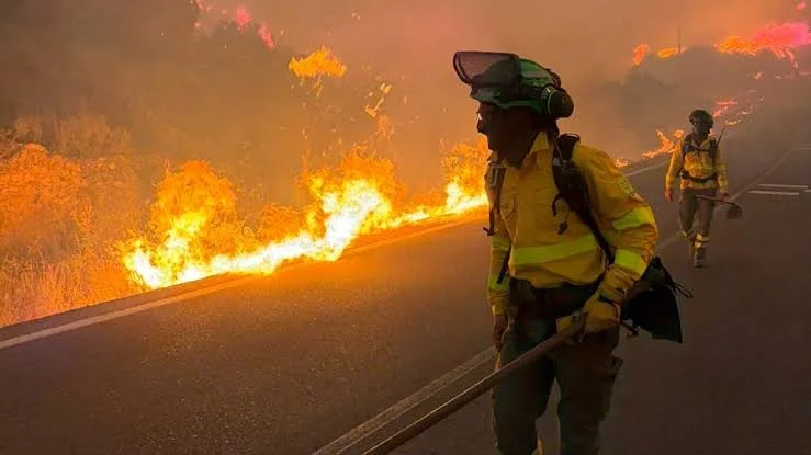 Un poste de luz habría provocado un feroz incendio en en el sur de España: hay al menos 12 muertos y 23 desaparecidos
